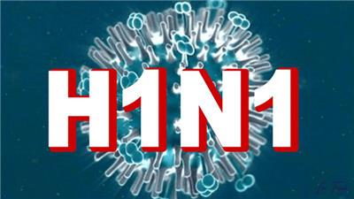 Image: Nhận định của WHO về tình hình dịch cúm H5N1